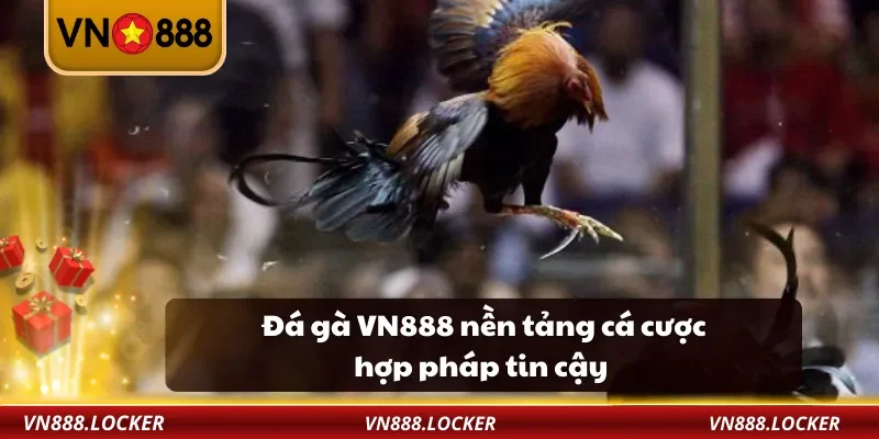 Đá gà VN888 nền tảng cá cược hợp pháp tin cậy